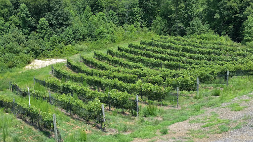 Winery «Saudé Creek Vineyards», reviews and photos, 16230 Cooks Mill Rd, Lanexa, VA 23089, USA