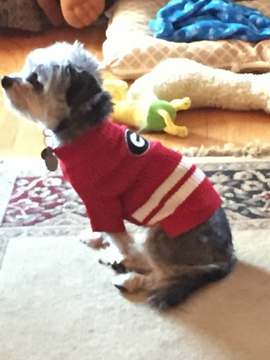 Pet Groomer «A Klassy Lassie, LLC», reviews and photos, 30 Old Jackson Rd, McDonough, GA 30252, USA