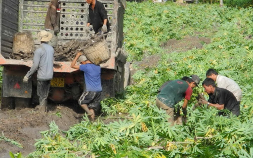 Top 3 cửa hàng bkav Huyện Tân Châu Tây Ninh 2022