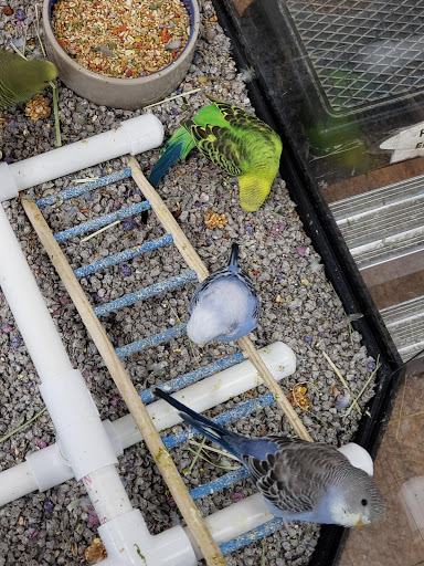 Pet Supply Store «Pet Valu», reviews and photos, 200 Biggs Blvd, Harrison, OH 45030, USA