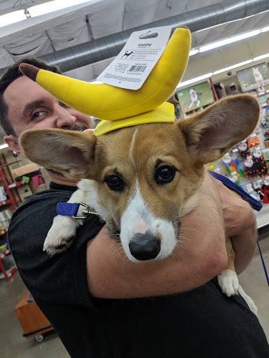 Pet Supply Store «Pet Food Express», reviews and photos, 3910 Middlefield Rd, Palo Alto, CA 94303, USA