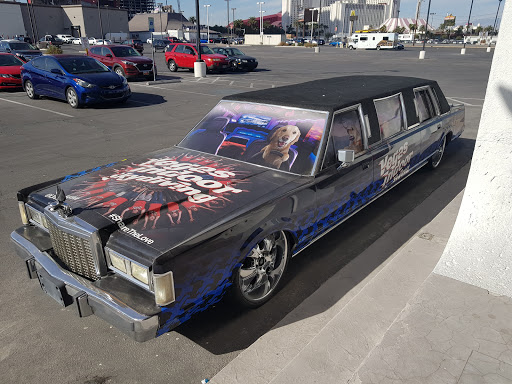 Tourist Attraction «Vegas Indoor Skydiving», reviews and photos, 200 Convention Center Dr, Las Vegas, NV 89109, USA