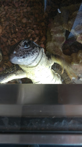 Pet Store «Critters & Co Pet Center», reviews and photos, 11042 WA-525, Clinton, WA 98236, USA