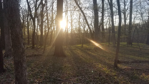 Nature Preserve «Sauk Trail Woods», reviews and photos, 3028 Forest Preserve Dr, Chicago Heights, IL 60411, USA