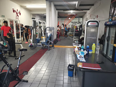 BROTHERS GYM