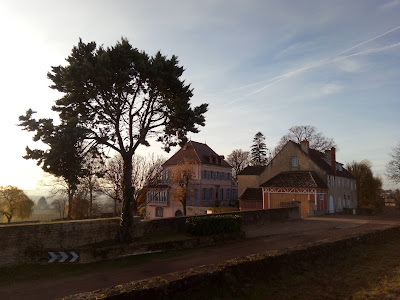 Latour Louis à Aloxe-Corton