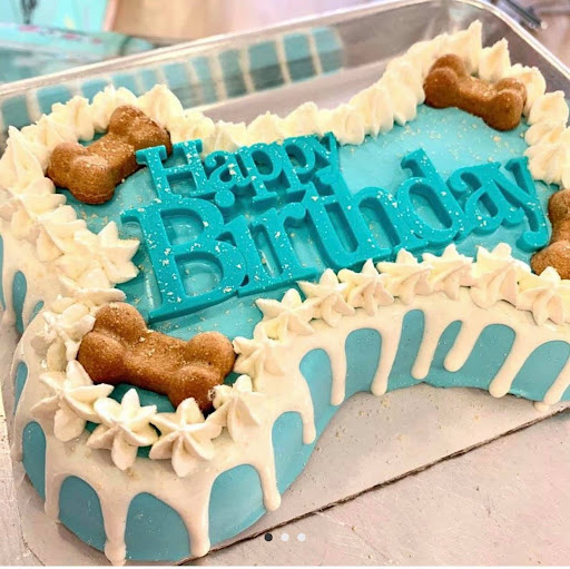 Pet Store «The Pet Set - Midtown», reviews and photos, 976 Piedmont Ave NE, Atlanta, GA 30309, USA