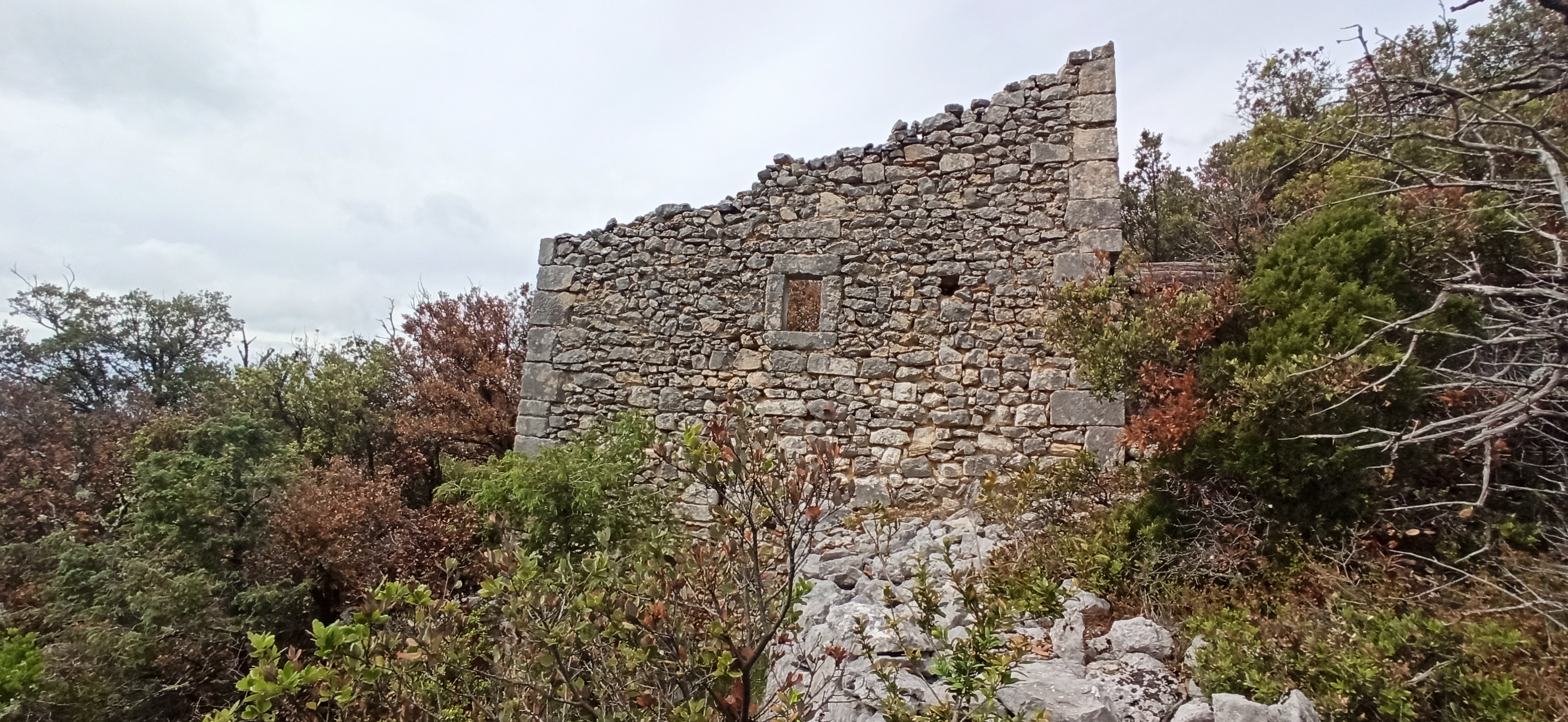 Photo n° 5 de l'avis de Frédéric.a fait le 19/05/2023 à 16:43
