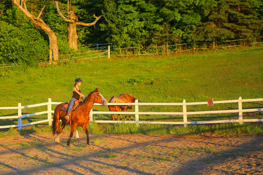 Horseback riding service Ottawa
