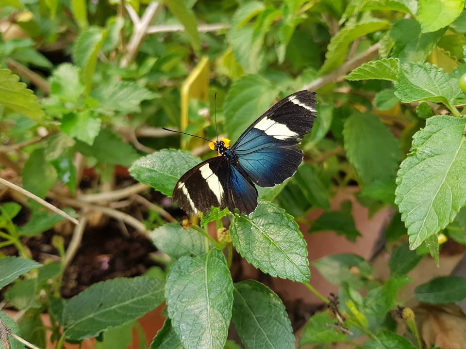 Photo n° 16 de l'avis de Evelyne.i fait le 26/05/2019 à 18:32
