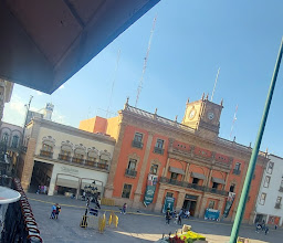 Fiera Verde Restaurante-bar photo