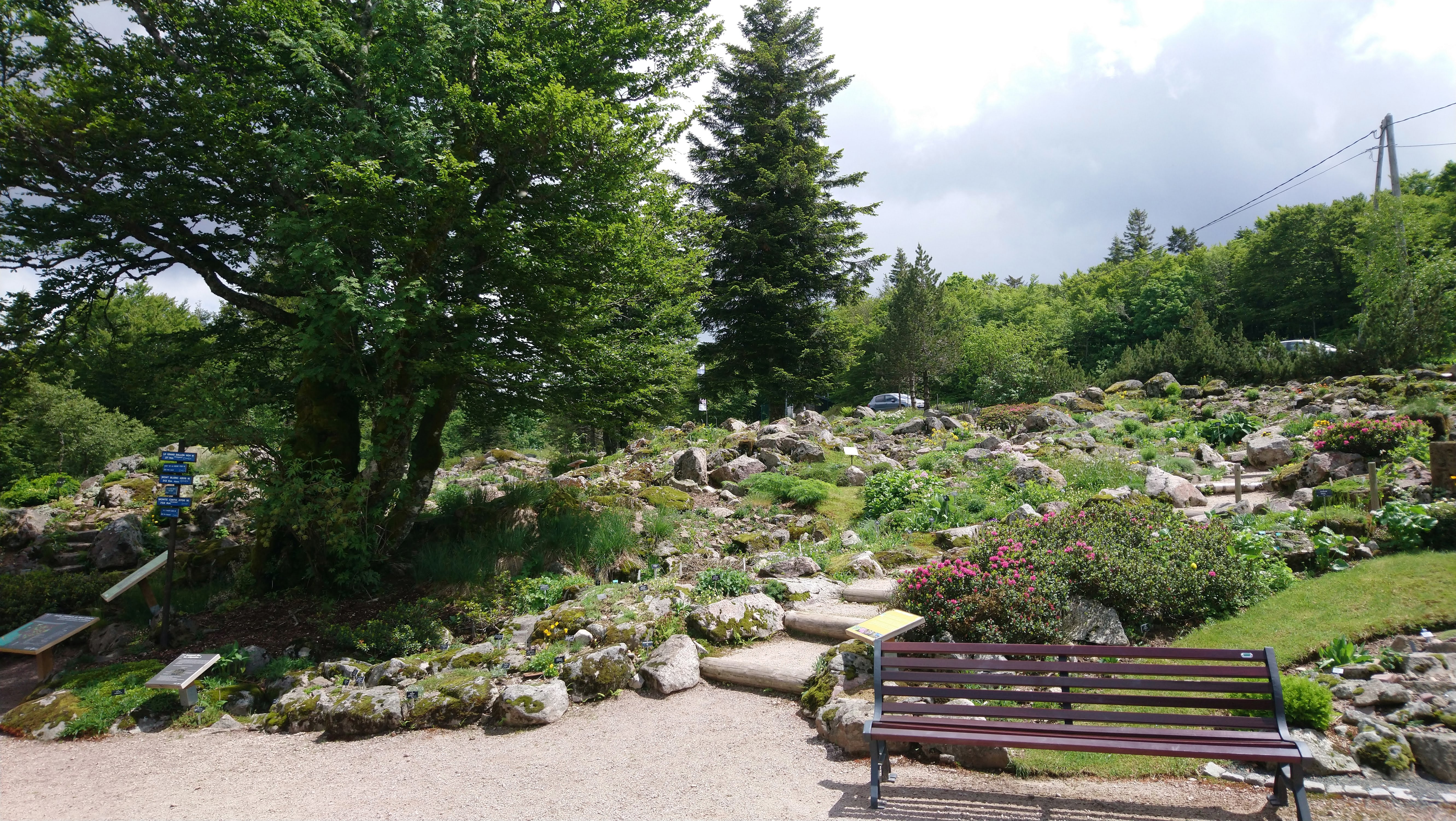 Photo n° 1 de l'avis de Sébastien.o fait le 26/06/2019 à 19:46