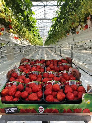 Beoordelingen van De Kersenboomgaard, kersenkwekerij en aardbeienkwekerij in Kortrijk - Supermarkt