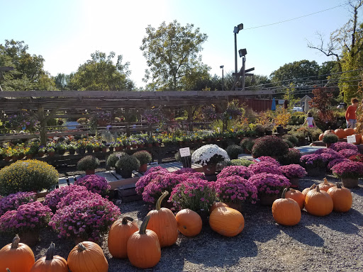 Garden Center «Nalls Produce», reviews and photos, 7310 Beulah St, Alexandria, VA 22315, USA