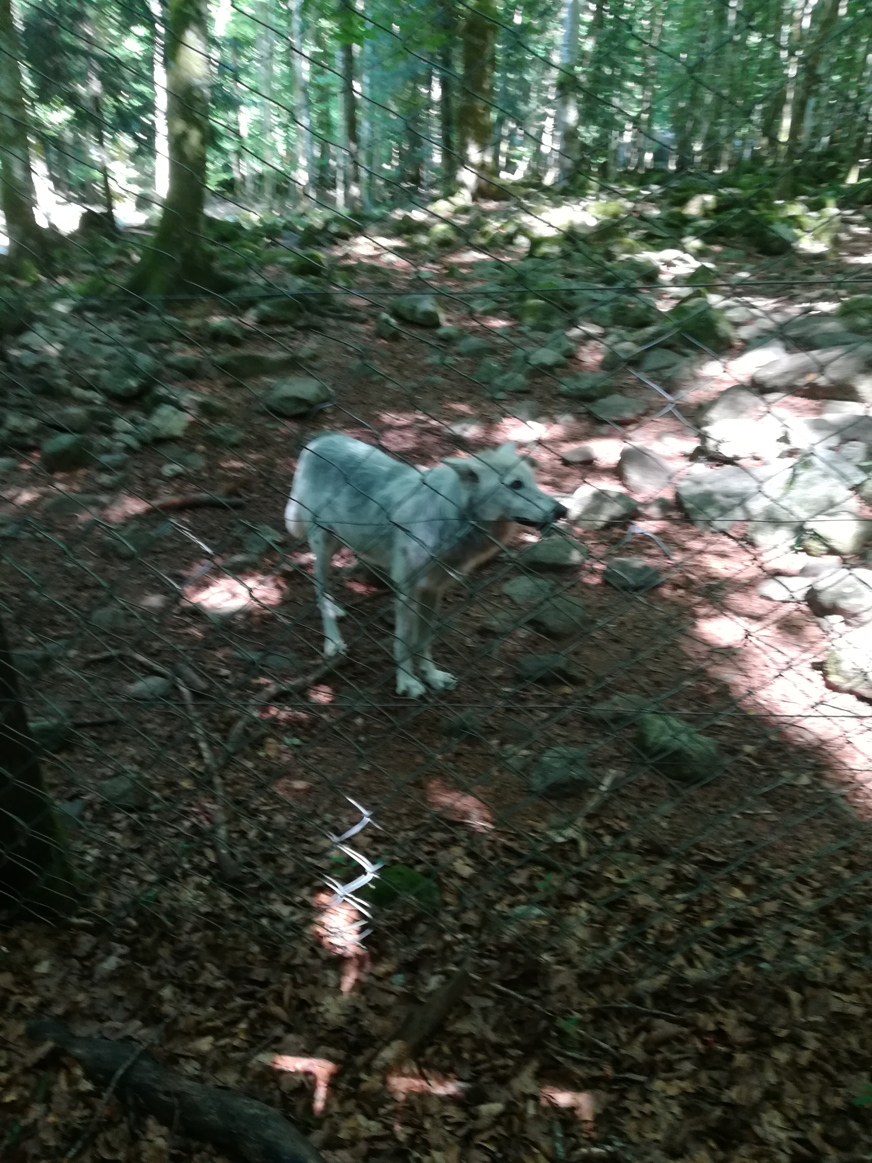 Photo n° 26 de l'avis de Audrey.� fait le 28/07/2017 à 17:11