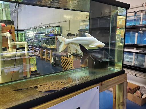 Pet Store «Fish & Pet Plus», reviews and photos, 19 Commerce St, Flemington, NJ 08822, USA