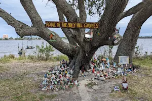 The Holly Hill Gnome Tree image