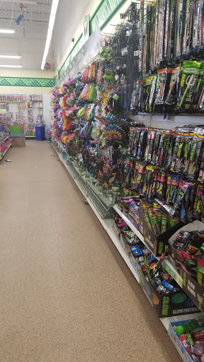 Dollar Store «Dollar Tree», reviews and photos, 1031 E Oakton St, Des Plaines, IL 60018, USA