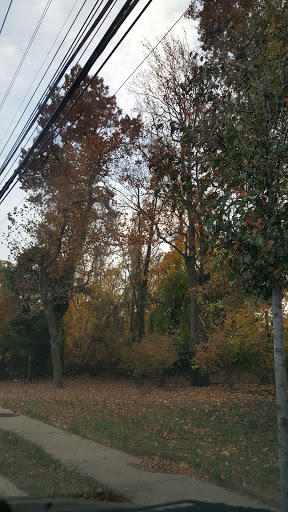 Park «Christopher Morley Park», reviews and photos, 500 Searingtown Rd N, Roslyn, NY 11576, USA