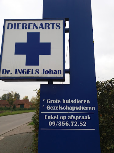 Beoordelingen van Ingels Johan in Gent - Dierenarts