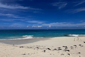 Cabbage Beach image