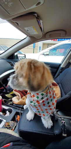 Pet Supply Store «PetSmart», reviews and photos, 278 New Britain Ave, Plainville, CT 06062, USA