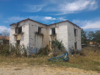 KIWI OYUNCULUK AJANSI