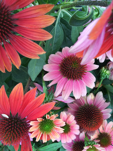 Home Improvement Store «The Home Depot», reviews and photos, 13171 Hwy 142 Nw, Covington, GA 30014, USA