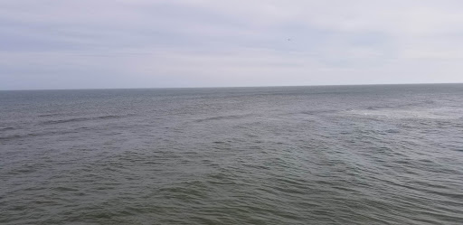 Convention Center «Atlantic City Convention & Visitors Authority», reviews and photos, 2314 Pacific Ave, Atlantic City, NJ 08401, USA