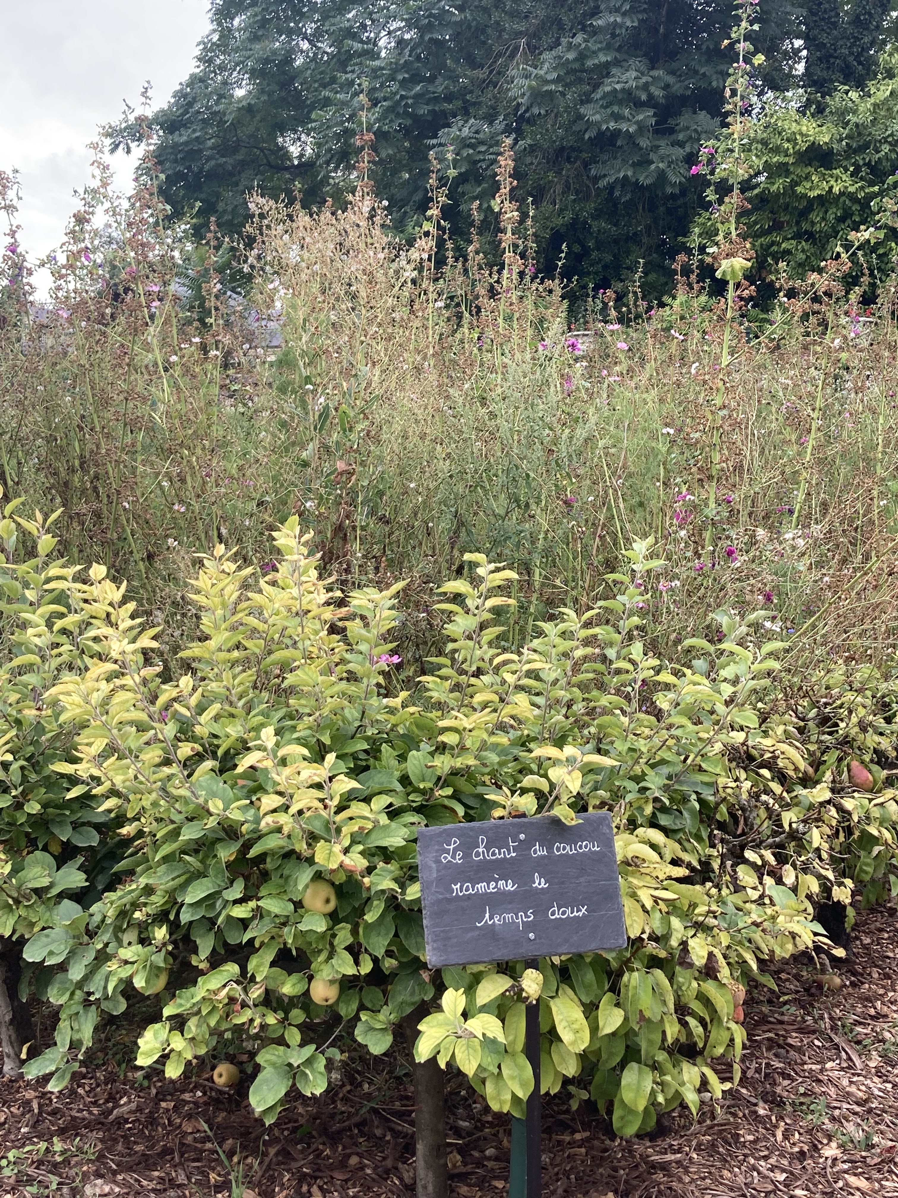 Photo n° 44 de l'avis de Denis.a fait le 16/08/2022 à 17:21