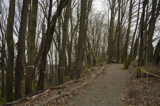 Park «Lewis Park», reviews and photos, 1120 15th Ave S, Seattle, WA 98144, USA