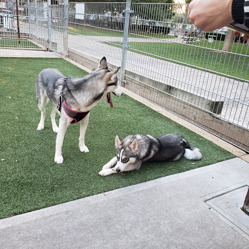 Dog Park «Church Square Park Dog Park», reviews and photos, 401-449 Willow Ave, Hoboken, NJ 07030, USA