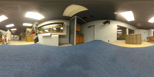 Park «Bays Mountain Park & Planetarium», reviews and photos, 853 Bays Mountain Rd, Kingsport, TN 37660, USA