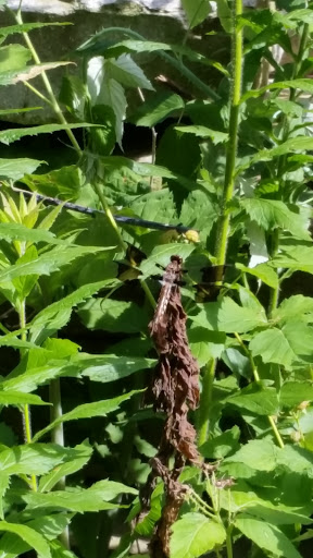 Park «Assabet Park», reviews and photos, 20 Gale St, Northborough, MA 01532, USA