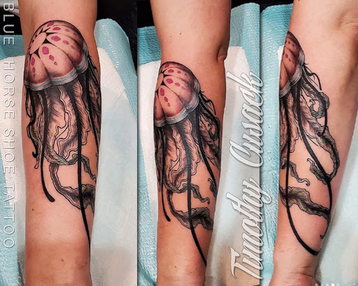 Body Piercing Shop «Blue Horse Shoe Tattoo and Piercing», reviews and photos, 3513 Virginia Beach Blvd, Virginia Beach, VA 23452, USA