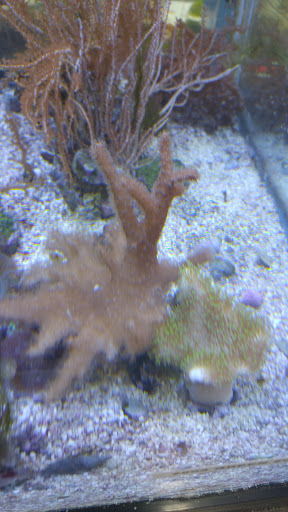 Tropical Fish Store «Two Turtles Pet Center», reviews and photos, 760 W Market St, Akron, OH 44303, USA