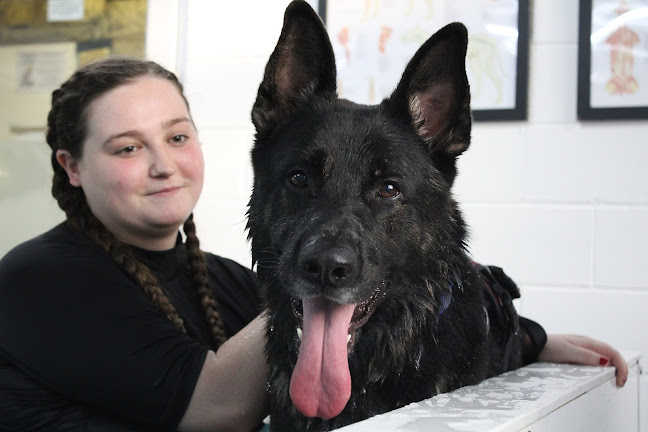 Burntwood Canine Hydrotherapy - Doncaster