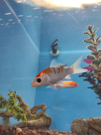 Shopping Mall «New Centre Market», reviews and photos, 4711-4719 New Centre Dr, Wilmington, NC 28405, USA