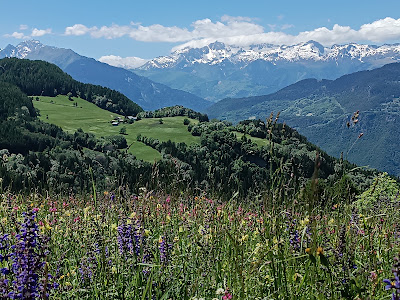 La Plagne - Plagne Montalbert | Office de tourisme à Aime-la-Plagne