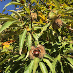 Photo n°14 de l'avis de MP. fait le 24/10/2021 à 17:55 sur le  Agriturismo Da Memi e Maria à Castelcucco