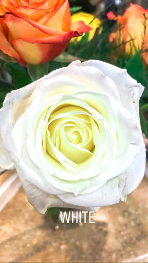 Florist «Classic Florist & Home Decor LLC», reviews and photos, 913 Hillcrest Pkwy, Dublin, GA 31021, USA