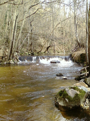 La Mare à Saint-Marcellin-en-Forez