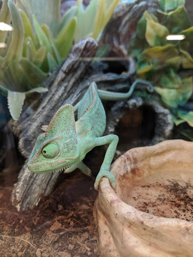 Pet Supply Store «PetSmart», reviews and photos, 1050 McKinley Pl Dr #30, San Marcos, TX 78666, USA