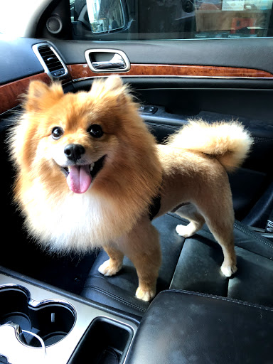  «Animal Crackers», reviews and photos, 280 NE 2nd St, Miami, FL 33132, USA