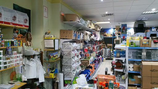 Pajarería Samu en Estepa, Sevilla