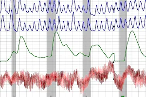 Polygraph Professional Services LLC image