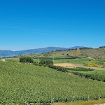 Photo n°6 de l'avis de Eusebio.i fait le 05/06/2021 à 08:26 sur le  Quinta da Barroca à Armamar