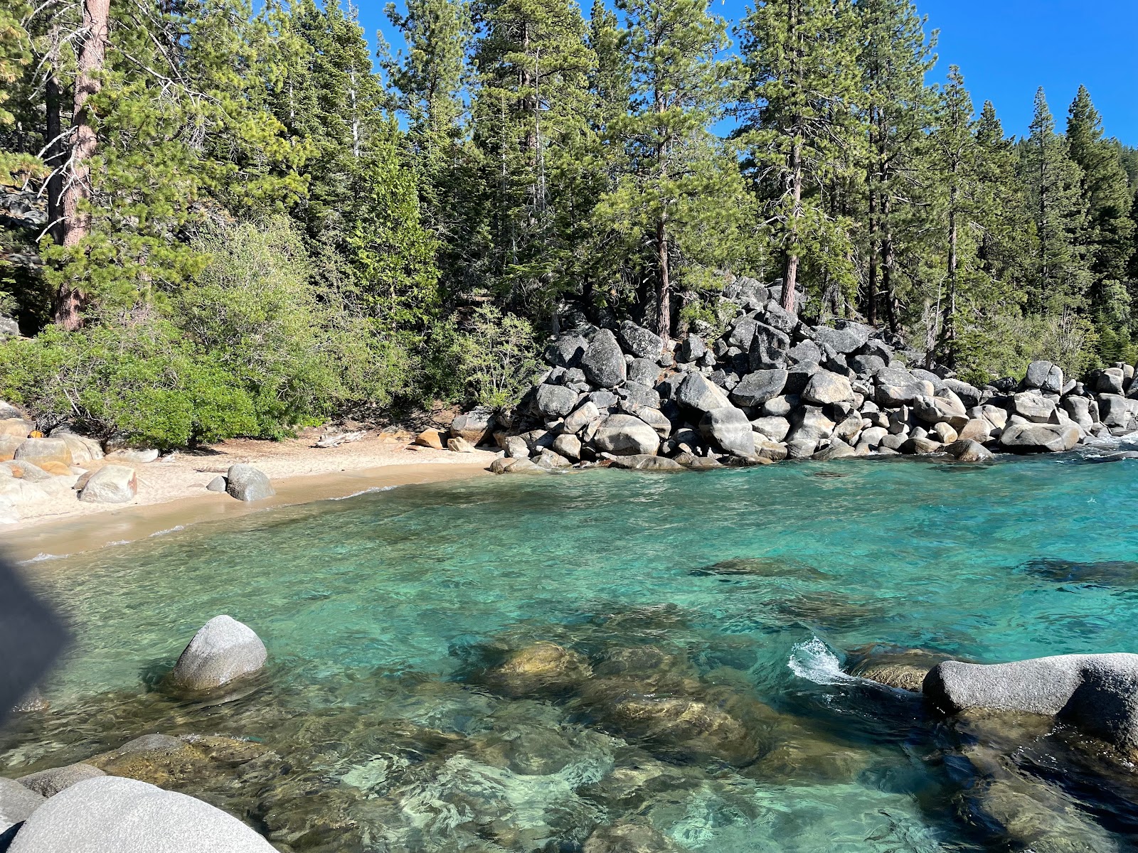 Skunk Harbor Beach'in fotoğrafı - tatil için iyi evcil hayvan dostu nokta