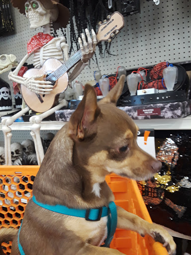 Discount Store «Big Lots», reviews and photos, 14537 W Grand Ave #200, Surprise, AZ 85374, USA