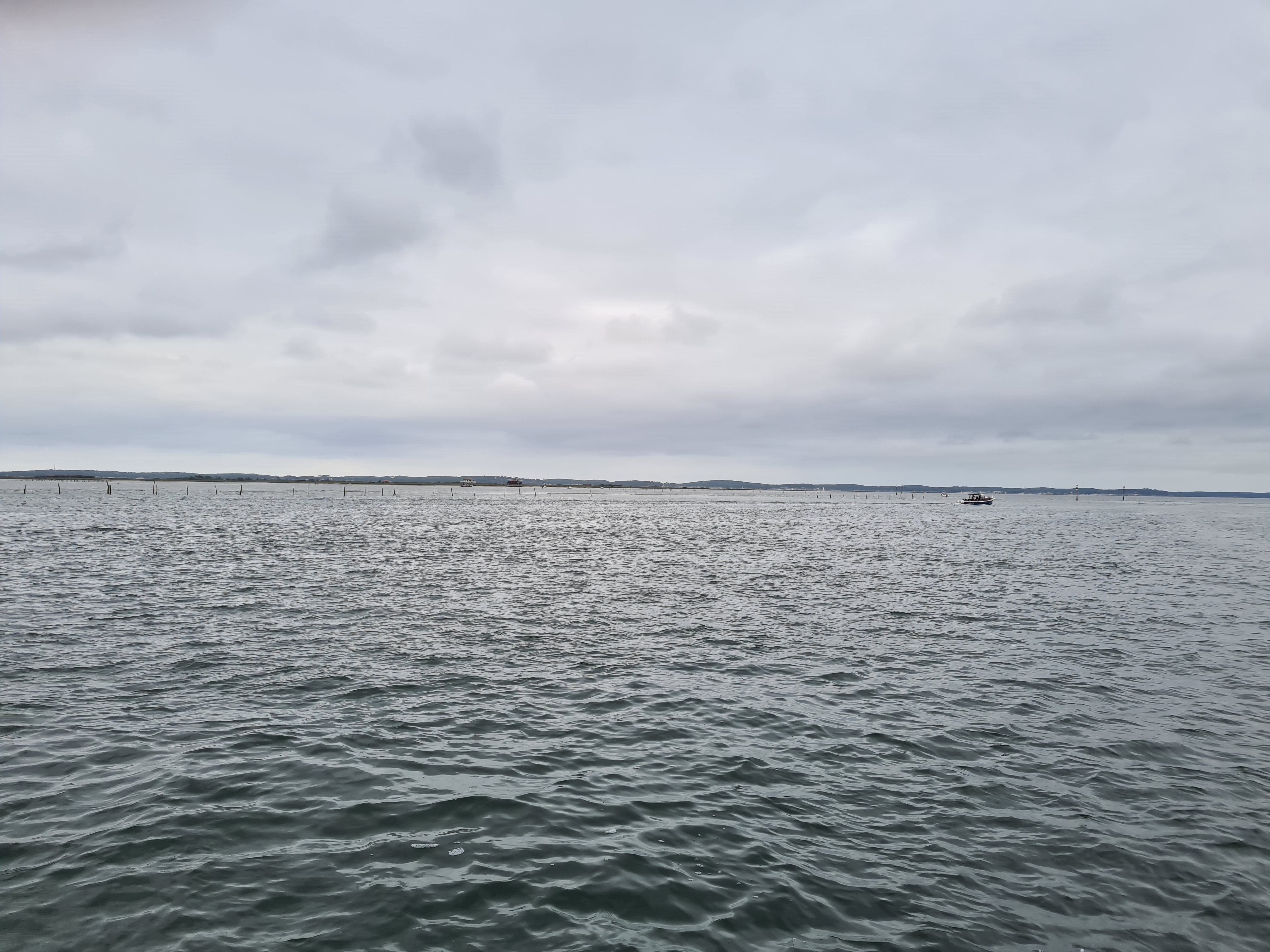 Photo n° 31 de l'avis de C. fait le 16/07/2020 à 19:34